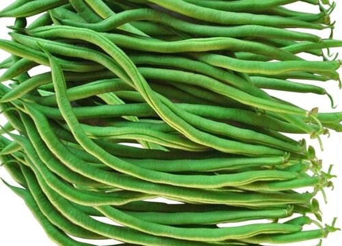豆青是什么菜