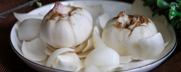 百合怎么存放时间长
