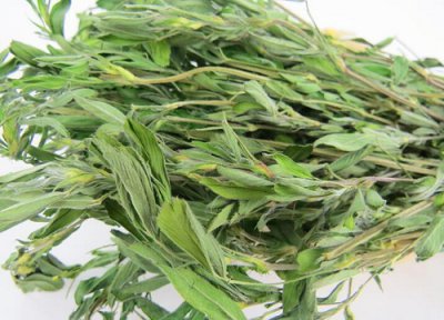 苜蓿是什么菜 苜蓿的功效与作用