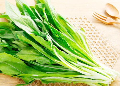 油麦菜是什么菜
