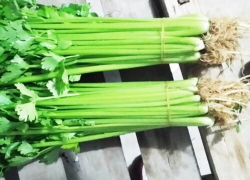 西芹是什么菜