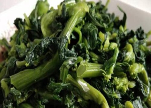 万年青菜是什么菜