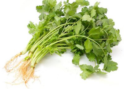 芫荽是什么菜 芫荽的功效与作用