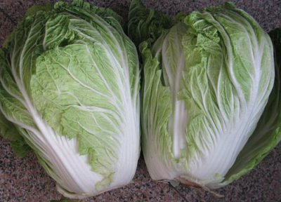 娃娃菜是什么菜 娃娃菜是什么样子