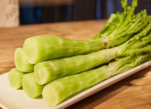 千金菜是什么菜