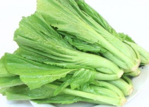 噶菜是什么菜