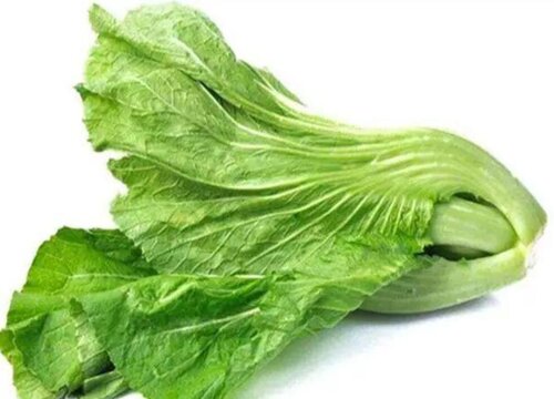 噶菜是什么菜