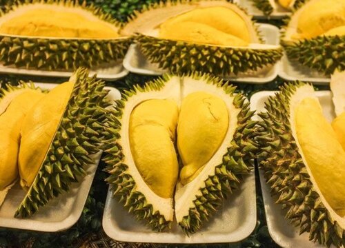 猫山王几月份成熟上市