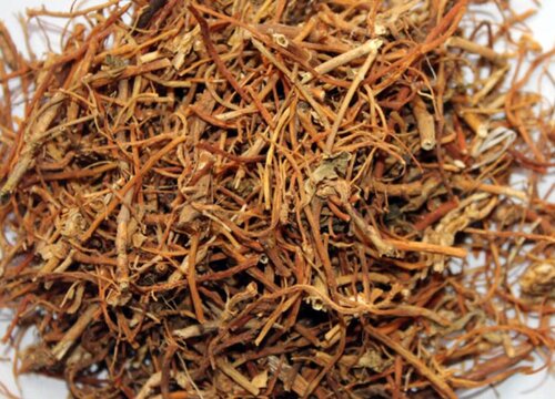 龙胆草可以泡水喝吗