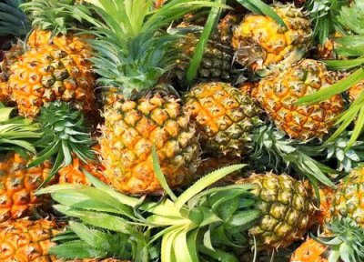 凤梨储存方法 凤梨保存方法