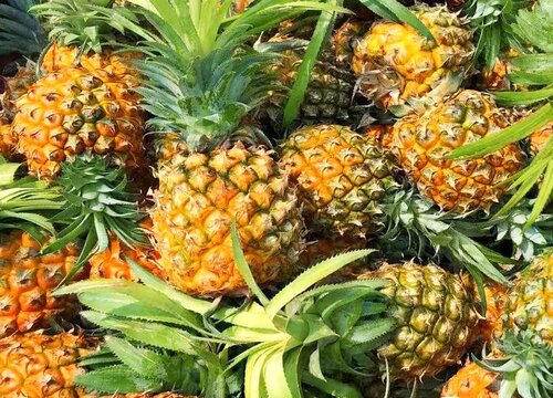 凤梨保存方法