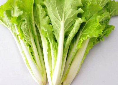毛毛菜做法 毛毛菜是什么菜