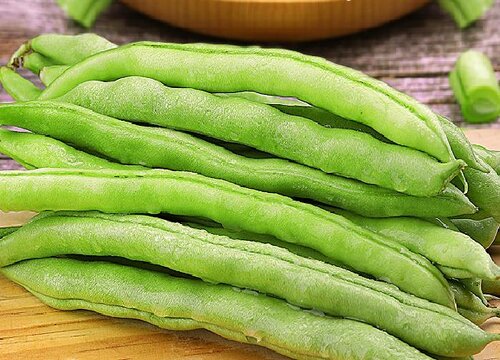 豆角是什么菜