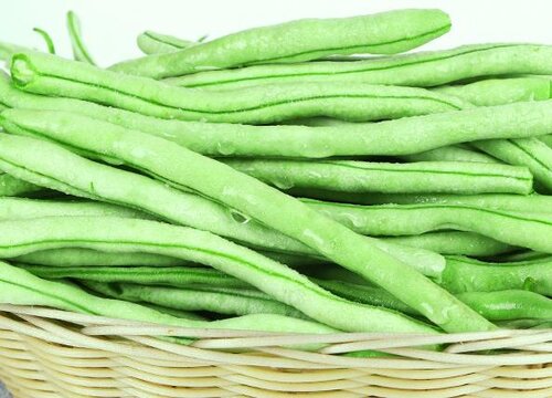 豆角是什么菜