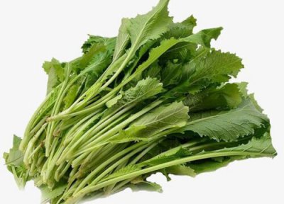 春不老做法 春不老是什么菜