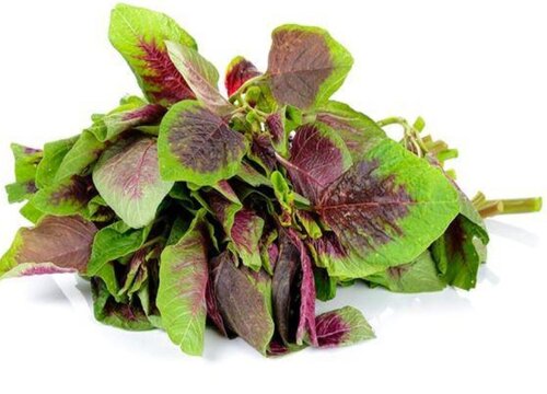 米茜是什么菜
