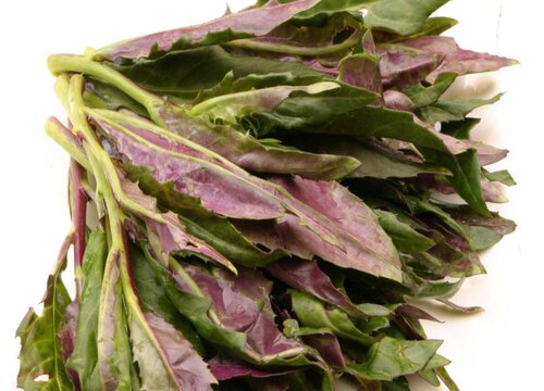米茜是什么菜