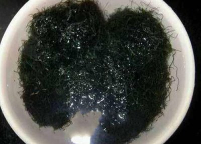 发菜是什么菜 发菜的功效与作用
