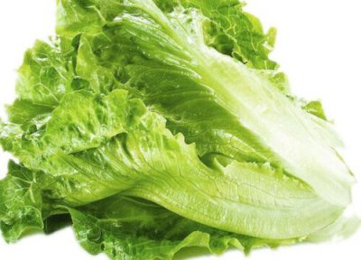 玻璃菜做法 玻璃菜是什么菜