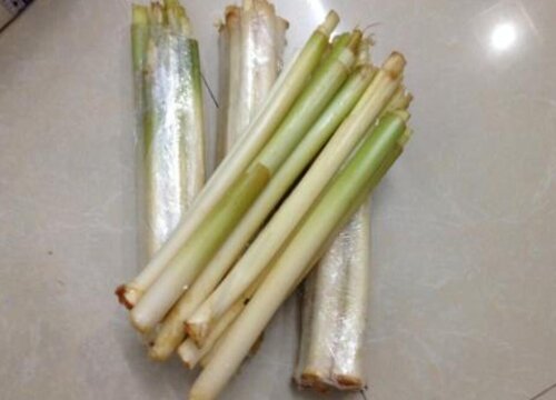 蒲菜是什么菜