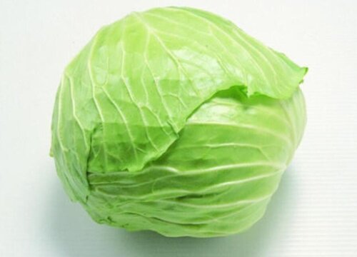 包菜是什么菜