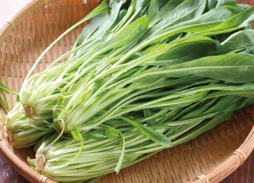水菜是什么菜