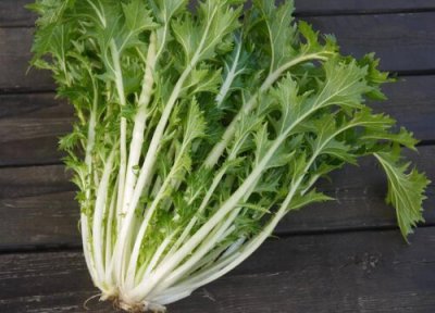 水菜是什么菜 水菜的功效与作用
