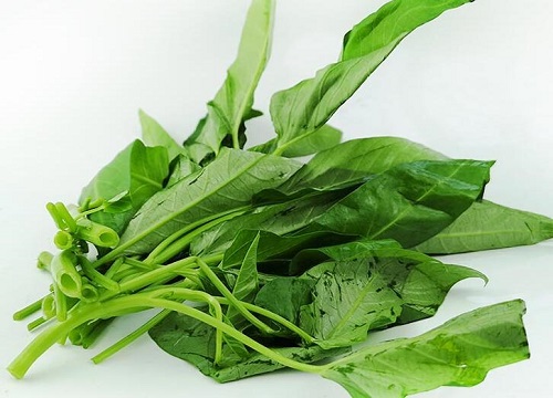 空心菜是什么菜