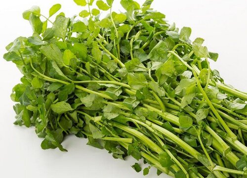 豆瓣菜是什么菜