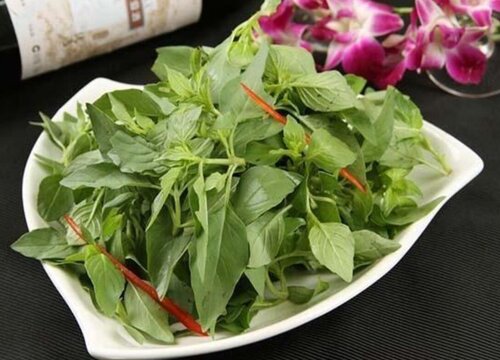 荆芥是什么菜