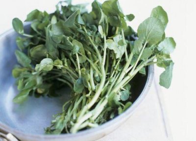豆瓣菜是什么菜 豆瓣菜是什么样子