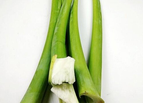 广菜是什么菜