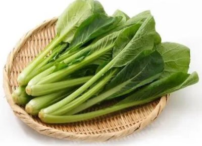菘菜是什么菜 菘菜是什么样子