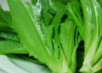 凤尾是什么菜 凤尾的功效与作用