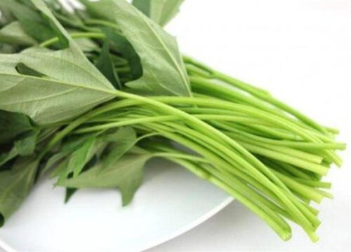 苕尖是什么菜