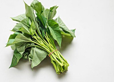 苕尖是什么菜 苕尖的功效与作用