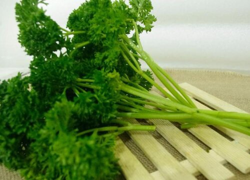 荷兰芹是什么菜