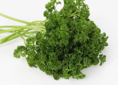 荷兰芹做法 荷兰芹是什么菜