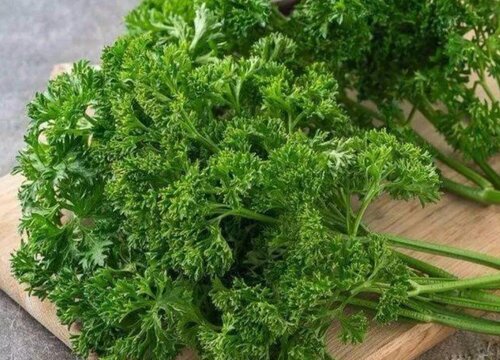 荷兰芹是什么菜
