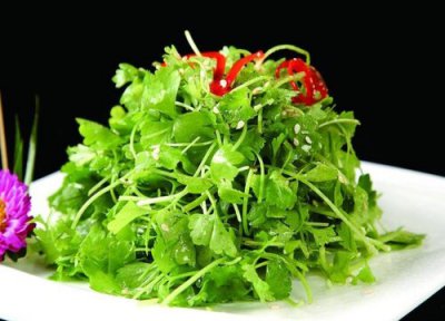 三叶香做法 三叶香是什么菜