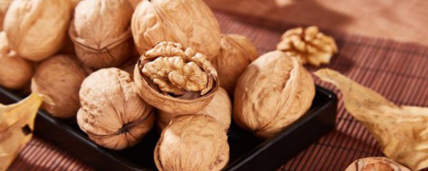 院子里能种核桃树吗
