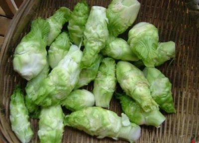 叫头子是什么菜 叫头子是什么样子