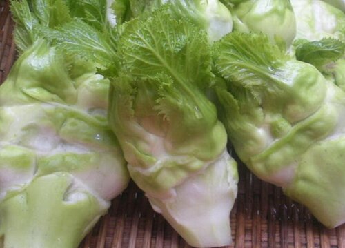 叫头子是什么菜
