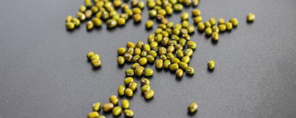 在冰箱里的绿豆能种吗
