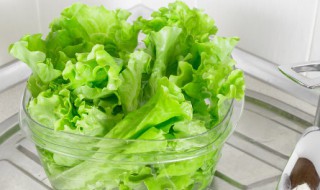 兔子可以吃生菜吗 兔子能不能吃生菜