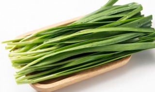 韭菜能种在院子里吗 韭菜可不可以种在院子里
