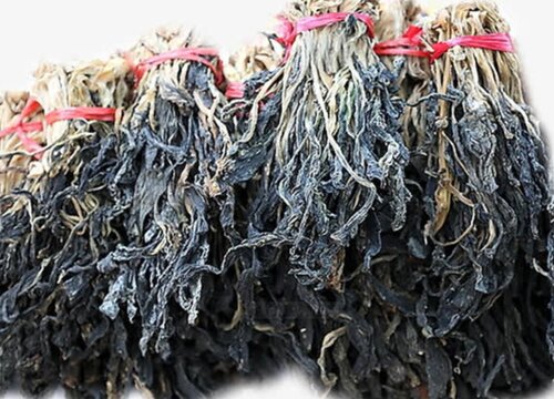 梅菜是什么菜