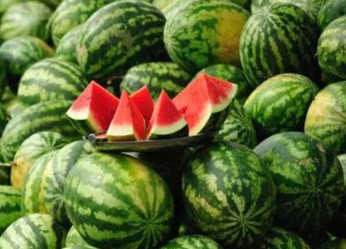 西瓜几月份成熟上市