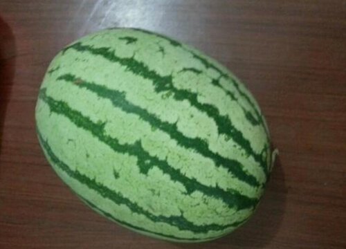 西瓜几月份成熟上市