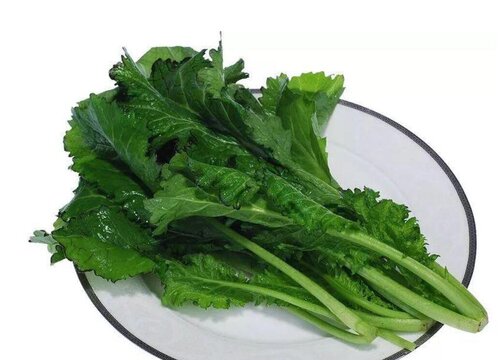 雪菜是什么菜